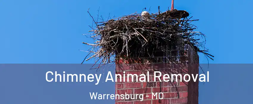  Chimney Animal Removal Warrensburg - MO