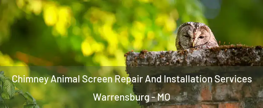  Chimney Animal Screen Repair And Installation Services Warrensburg - MO