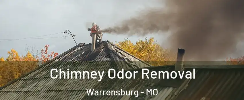  Chimney Odor Removal Warrensburg - MO