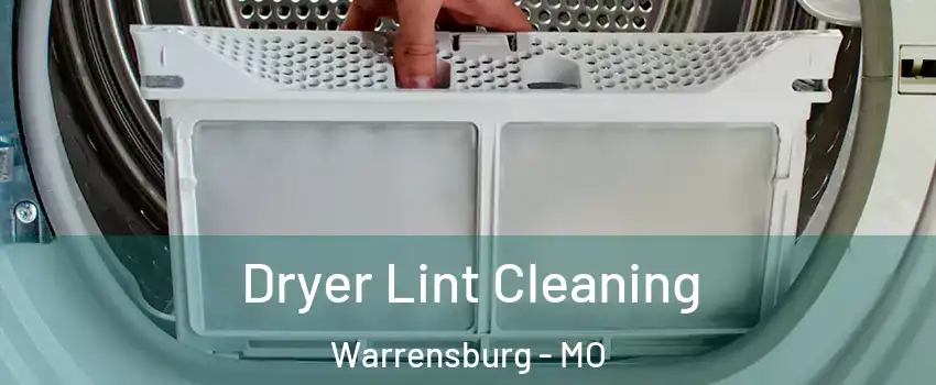  Dryer Lint Cleaning Warrensburg - MO