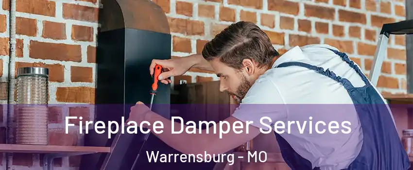  Fireplace Damper Services Warrensburg - MO