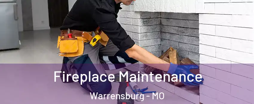  Fireplace Maintenance Warrensburg - MO