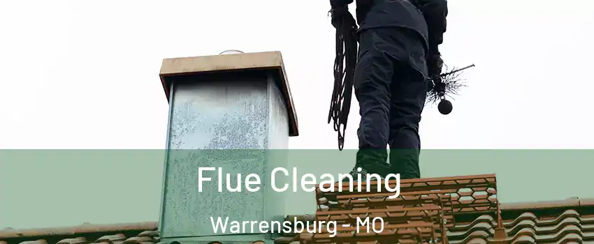  Flue Cleaning Warrensburg - MO