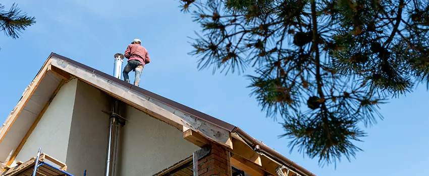 Birds Removal Contractors from Chimney in Warrensburg, MO