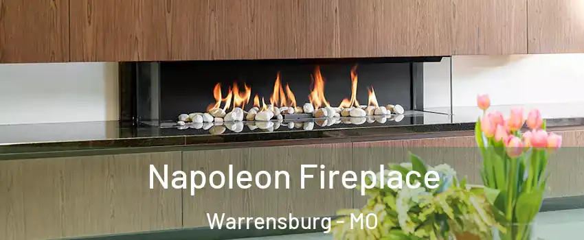  Napoleon Fireplace Warrensburg - MO